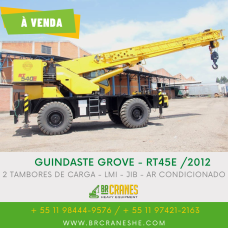 Guindaste Grove - RT45E